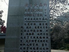 -南山植物园