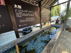 -江龙饭店·乌江豆腐鱼(乌江老桥头店)