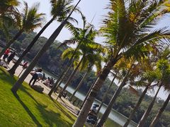 -深圳仙湖植物园
