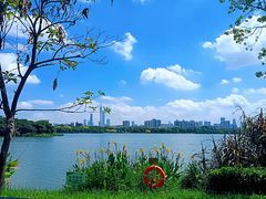 -海珠湖公园
