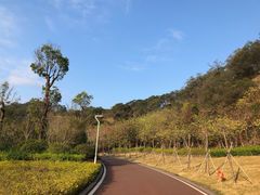 -飞凤山奥体公园