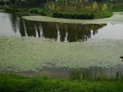 -东郊湿地公园