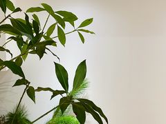 -大鱼·养生·禅洗头疗·按摩SPA