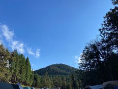 -武陵山森林公园