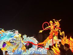 -淄博花灯齐彩城