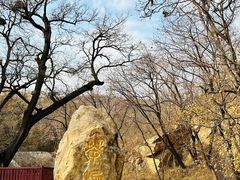 -北京西山国家森林公园