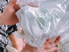 -马陆小张葡萄园农家乐