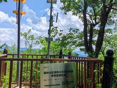 -王顺山国家森林公园