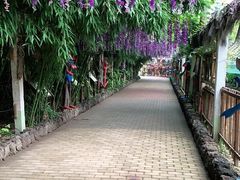 -呀路古热带植物园