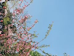 -上海野生动物园