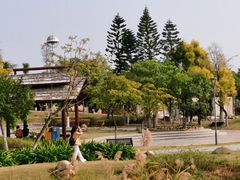 -厦门园林博览苑