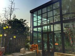 -桉树林A coffee 森林餐厅(三圣乡店)