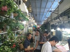 -万商花鸟市场