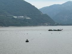 -北岐滩涂