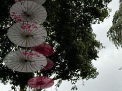 -广州市白云山风景名胜区