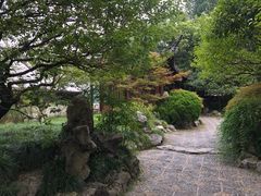 -郭庄茶室