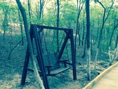iphone_upload_pic-翡翠岛