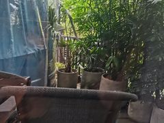 -状元人家·公园别墅衡东土菜(溪悦荟店)