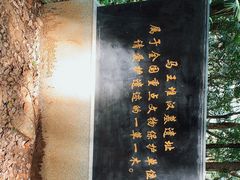 -马王堆汉墓遗址