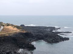 -涉地可支