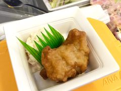 -全日本空输株式会社(上海办事处)
