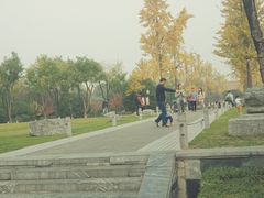 -明故宫遗址公园