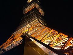 -东京塔海贼王主题公园