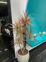 -OnHair造型