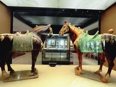 -西安大唐西市博物馆