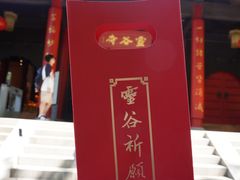 -灵谷景区