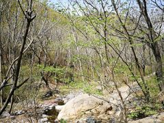 -云岫谷自然风景区