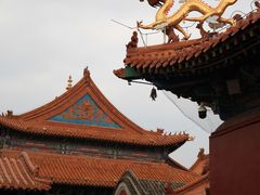 -大召无量寺
