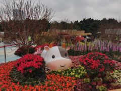 -海心沙亚运公园