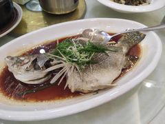 清蒸桂花鱼-绿丰园农家菜(南北大厦店)