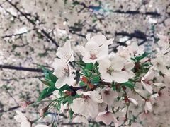 -同济大学(嘉定校区)