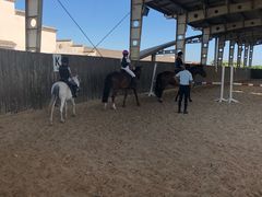 -松声马术俱乐部