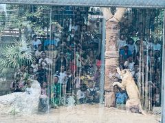 -清迈夜间动物园