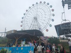 -美心红酒小镇游乐园