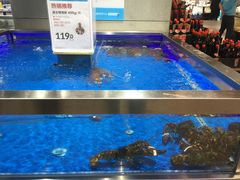 水产区-盒马鲜生(财富中心店)