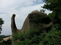 android_upload_pic-天柱山风景区