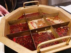 -蜀九香火锅(九眼桥店)