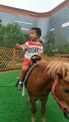 -萌宠亲子动物乐园(槐房万达店)