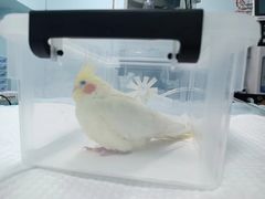 -菲尔斯特宠物医院