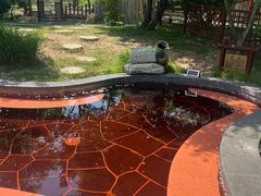 -东海森林温泉