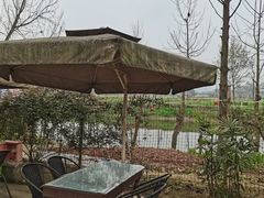 -苏记溪河鲢鱼庄(天府新区店)