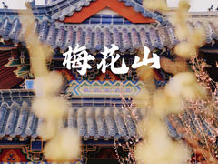 -梅花山(明孝陵内)