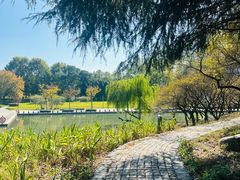 -白塘生态植物园