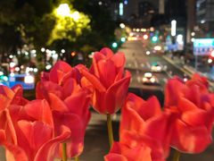 -美罗城