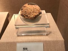 -烟台市博物馆