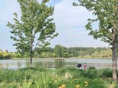 -东郊湿地公园